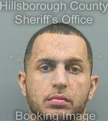 Lopez Danny - Hillsborough County, FL 