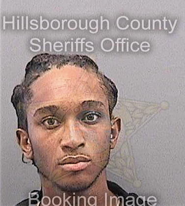 Hamilton Jeremiah - Hillsborough County, FL 