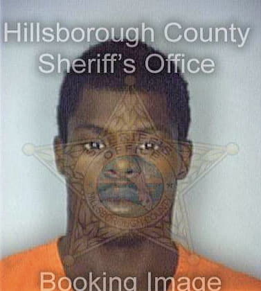 Dorsey Jermain - Hillsborough County, FL 