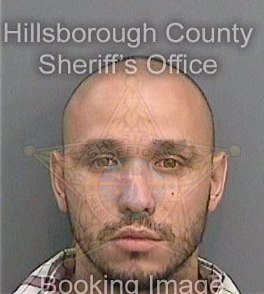 Santiago Erick - Hillsborough County, FL 