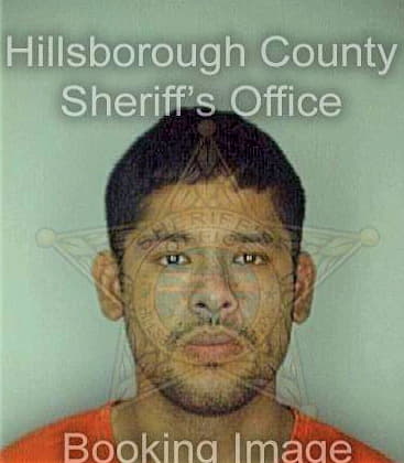 Sotelo Roberto - Hillsborough County, FL 