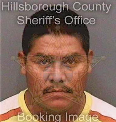 Chavezgallegos Jose - Hillsborough County, FL 