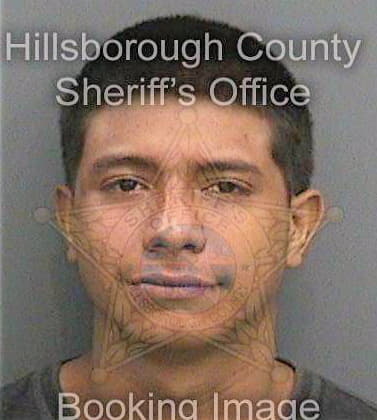 Arango Carlos - Hillsborough County, FL 