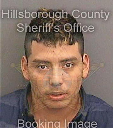 Vazquezlopes Eleaquin - Hillsborough County, FL 