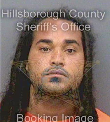 Delvalle David - Hillsborough County, FL 