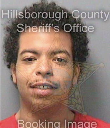 Lowery Johnny - Hillsborough County, FL 