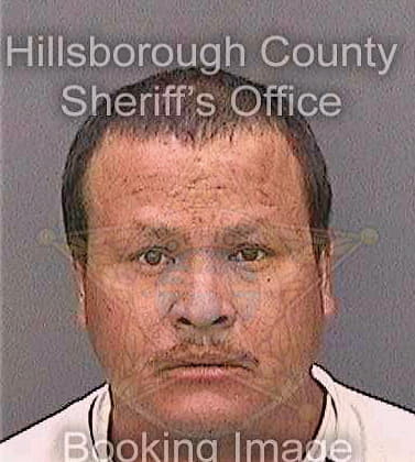 Sanchez Hector - Hillsborough County, FL 