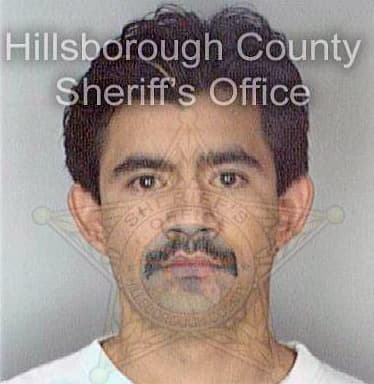 Lopez Jamie - Hillsborough County, FL 