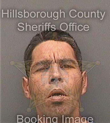 Gonzalezrivas Agustin - Hillsborough County, FL 