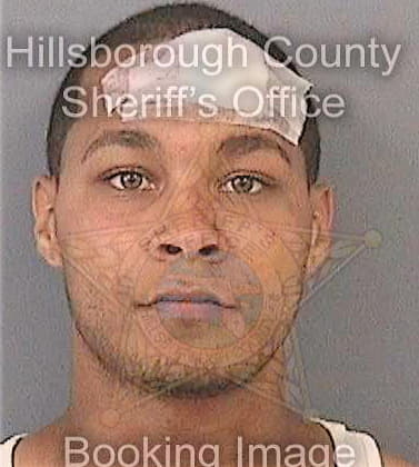 Huskin Brett - Hillsborough County, FL 