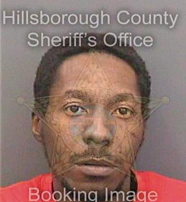 Pearson Anthony - Hillsborough County, FL 