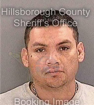 Gaona Jose - Hillsborough County, FL 