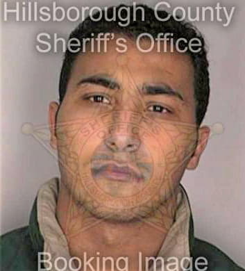 Sefein Magdy - Hillsborough County, FL 