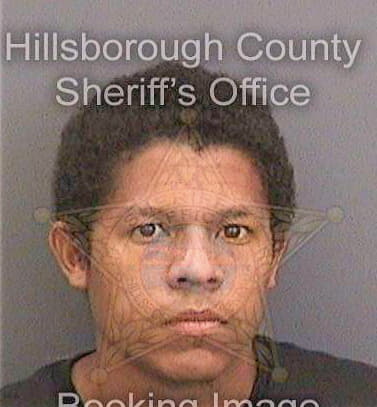 Diaz Bolivar - Hillsborough County, FL 