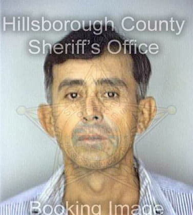 Salinas Felipe - Hillsborough County, FL 