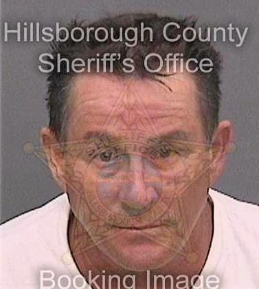 Garcia Iliomar - Hillsborough County, FL 