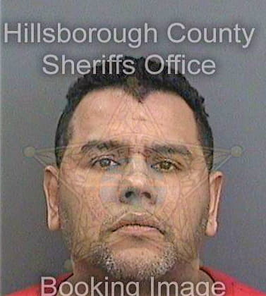 Renda David - Hillsborough County, FL 