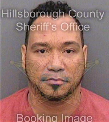 Sanchez Ramon - Hillsborough County, FL 