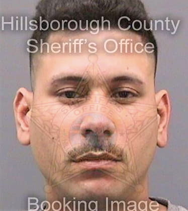 Negron Carlos - Hillsborough County, FL 