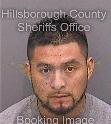 Olguinmartinez Benito - Hillsborough County, FL 