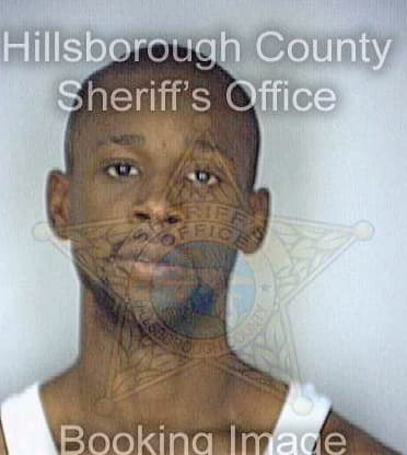 Thompson Virgil - Hillsborough County, FL 