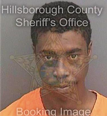 Johnson Brenton - Hillsborough County, FL 