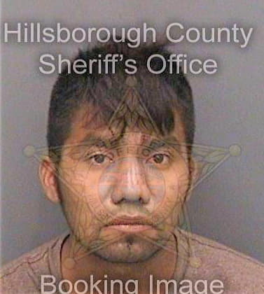 Carlos Ignacio - Hillsborough County, FL 