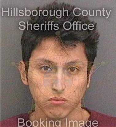 Melgar Josecarlos - Hillsborough County, FL 
