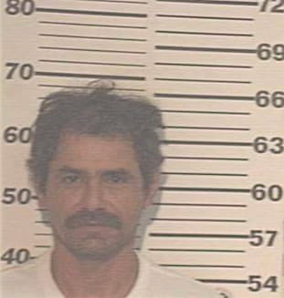 Garcia Margarito - Hidalgo County, TX 