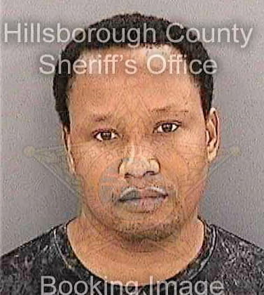 Francois Steven - Hillsborough County, FL 