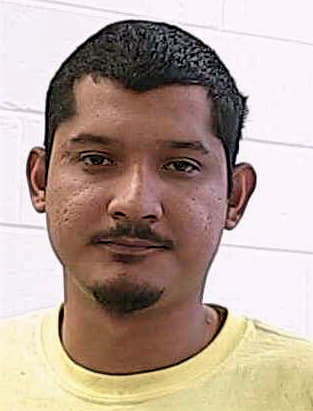 Anguiano Mario - Houston County, GA 