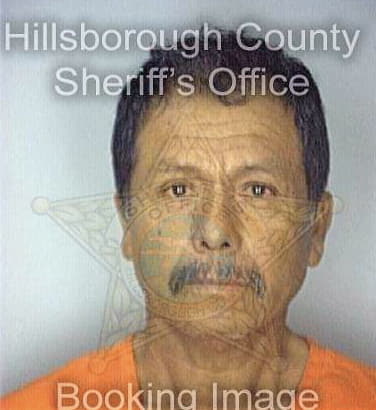 Castro Luis - Hillsborough County, FL 