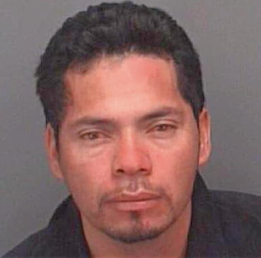 Sanchez Terencio - Pinellas County, FL 