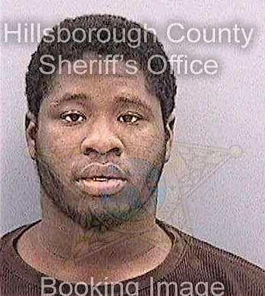 Huggins Joshua - Hillsborough County, FL 