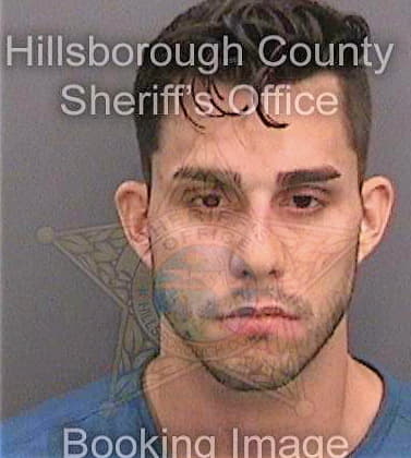 Tejevavaldes Armando - Hillsborough County, FL 