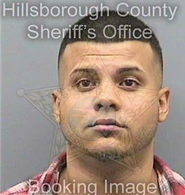 Delgado Abelardo - Hillsborough County, FL 