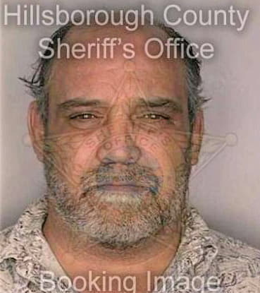 Medeiros Russell - Hillsborough County, FL 