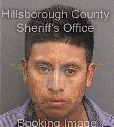 Delacruzjimenez Nasario - Hillsborough County, FL 