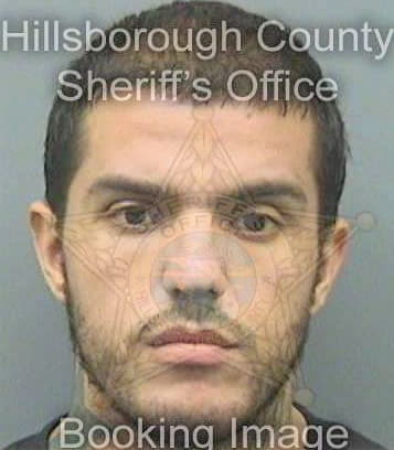 Gonzalez Emilio - Hillsborough County, FL 