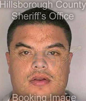 Mejia Miguel - Hillsborough County, FL 