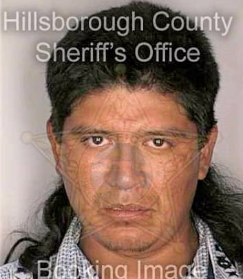 Mendez Mardonio - Hillsborough County, FL 