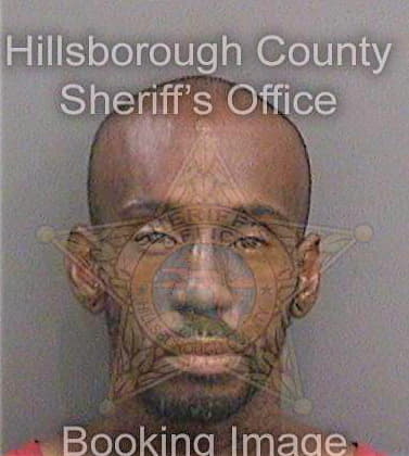 Dennis Ryan - Hillsborough County, FL 