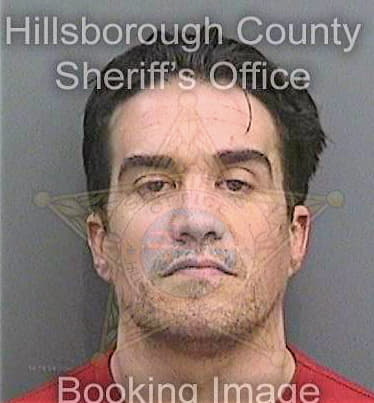 Musso Lawrence - Hillsborough County, FL 