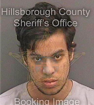 Gonzaleztinoco Sebastian - Hillsborough County, FL 