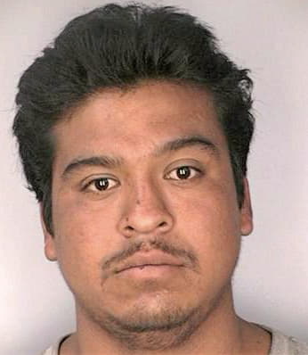 Lopez Jose - Hillsborough County, FL 