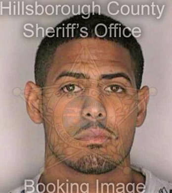 Borrero Pedro - Hillsborough County, FL 