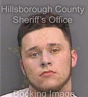 Sirmans Dylan - Hillsborough County, FL 
