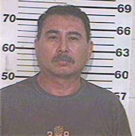 Hernandez Jose - Hidalgo County, TX 