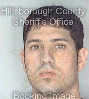 Bovee Robert - Hillsborough County, FL 