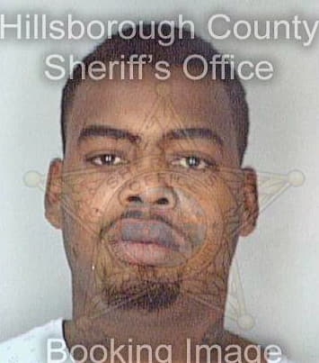 Derico Demetrius - Hillsborough County, FL 